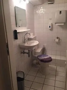 Отель Airport Hotel Hallbergerhof 2*