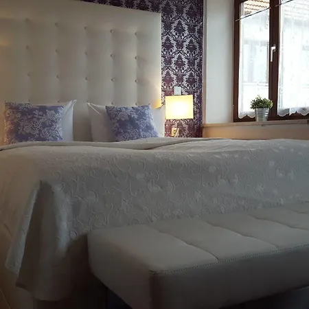 Airport Hotel Hallbergerhof Отель 2*