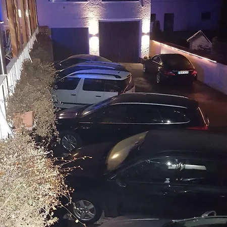Отель Airport Hotel Hallbergerhof Халльбергмос