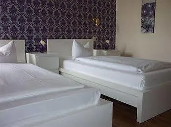 Airport Hotel Hallbergerhof Халльбергмос