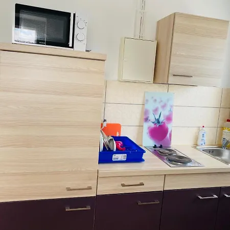 Airport Hotel Hallbergerhof Отель Халльбергмос