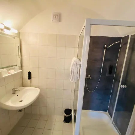 Airport Hotel Hallbergerhof Отель 2*