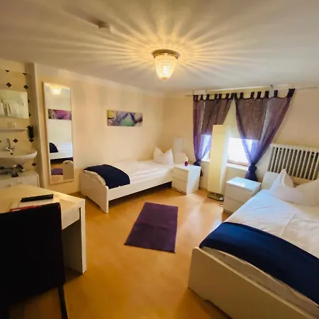 Airport Hotel Hallbergerhof 2* Халльбергмос