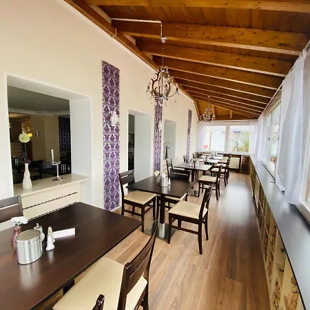 Airport Hotel Hallbergerhof 2* Халльбергмос