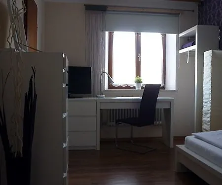 Airport Hotel Hallbergerhof 2*
