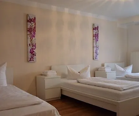 Airport Hotel Hallbergerhof Hotel 2*