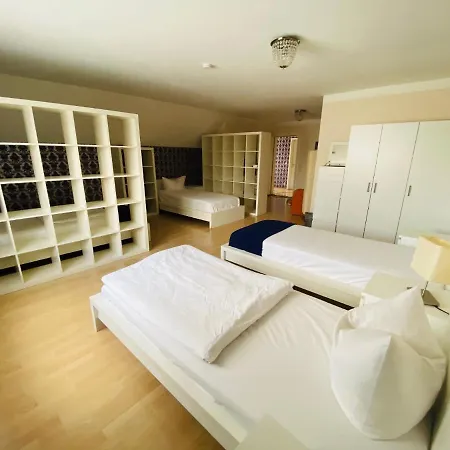 Airport Hotel Hallbergerhof 2*