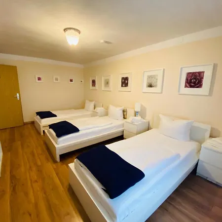 Airport Hotel Hallbergerhof Hotel